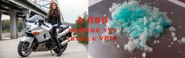 индика Инта