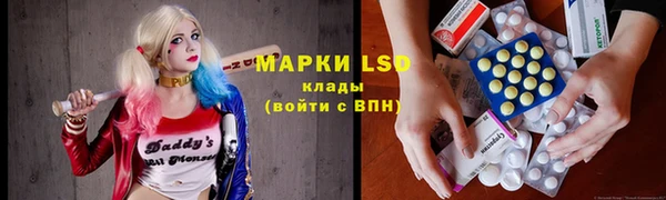 прущие крисы Зеленокумск