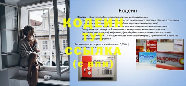 индика Инта